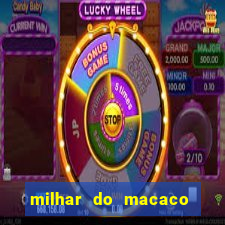 milhar do macaco que mais saem no jogo do bicho