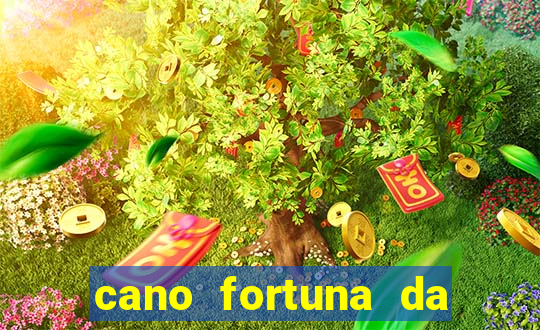 cano fortuna da titan 150