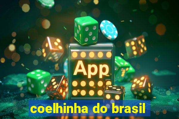 coelhinha do brasil