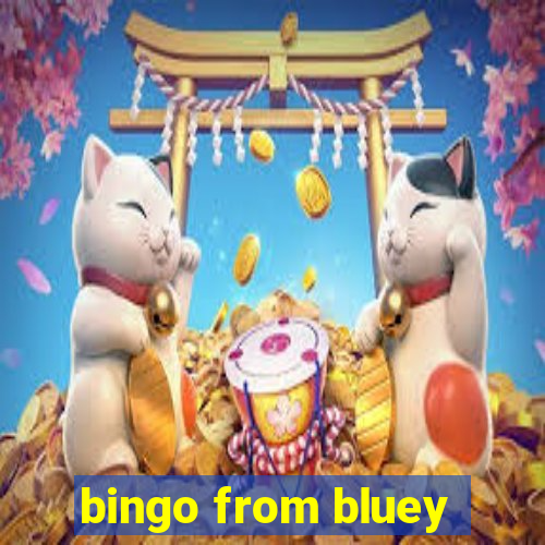 bingo from bluey