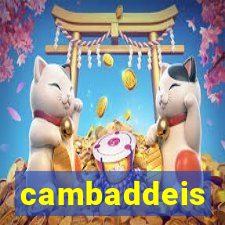 cambaddeis