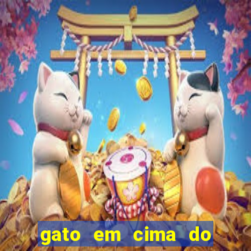 gato em cima do telhado significado espiritual