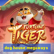 dog house megaways