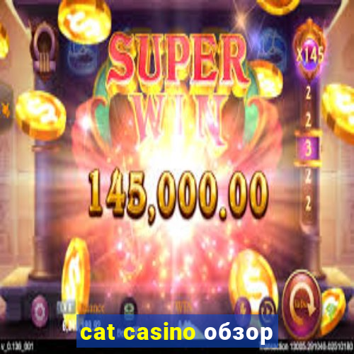 cat casino обзор