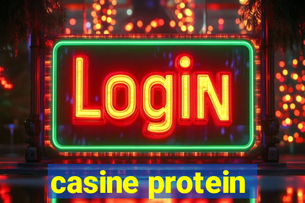 casine protein