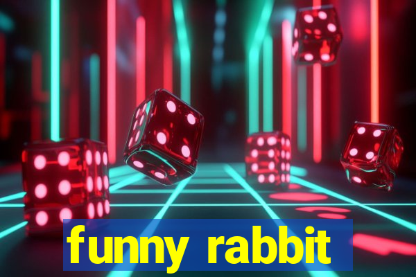 funny rabbit