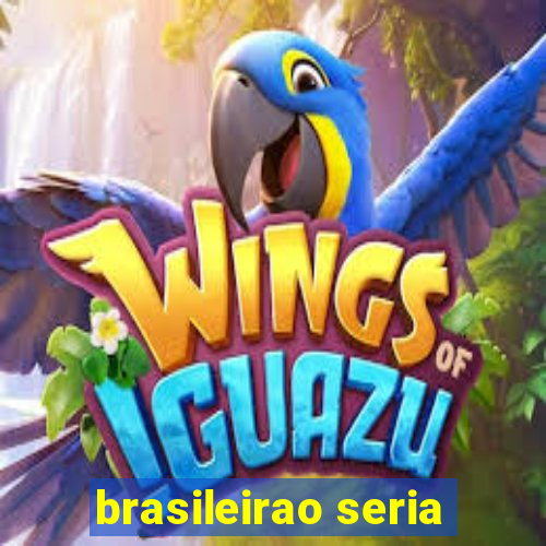 brasileirao seria