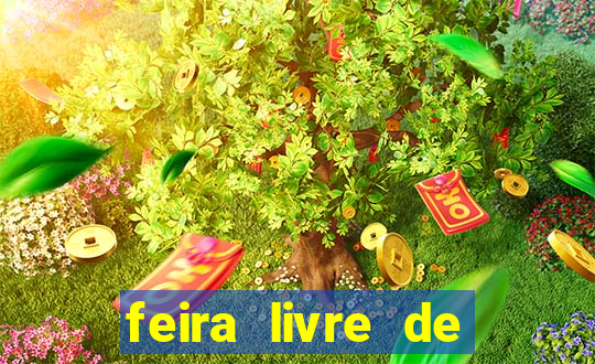 feira livre de santo ant?nio de jesus