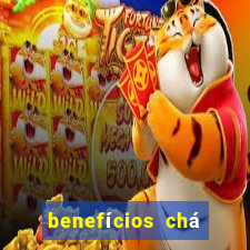 benefícios chá dente de leão