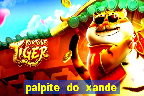 palpite do xande de hoje