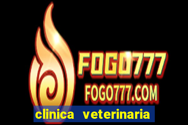 clinica veterinaria cuidar betim