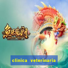 clinica veterinaria cuidar betim