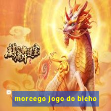 morcego jogo do bicho