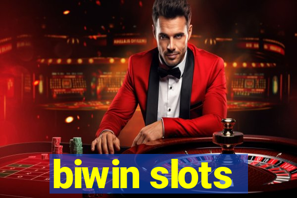 biwin slots