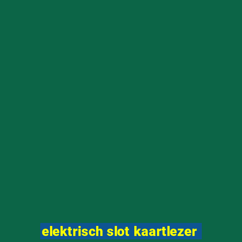 elektrisch slot kaartlezer