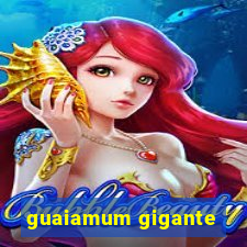 guaiamum gigante