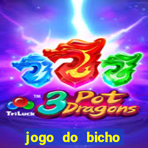 jogo do bicho online seguro