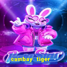 cambay tiger - seafood & meat