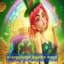 orangotango gigante mogli