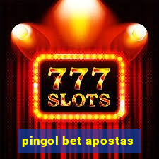 pingol bet apostas