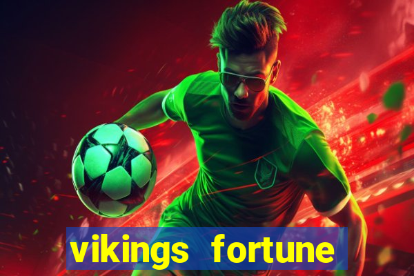 vikings fortune hold and win slot