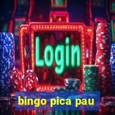 bingo pica pau