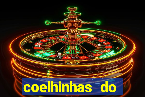 coelhinhas do brasil acompanhantes