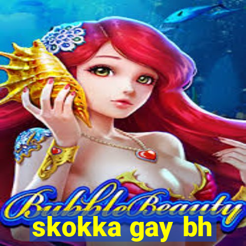 skokka gay bh