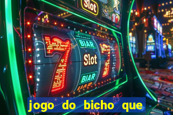 jogo do bicho que da dinheiro