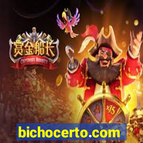 bichocerto.com