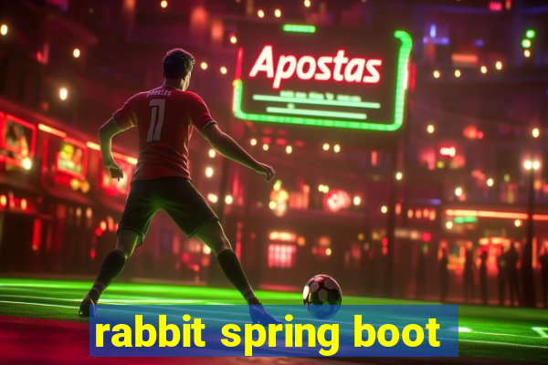 rabbit spring boot