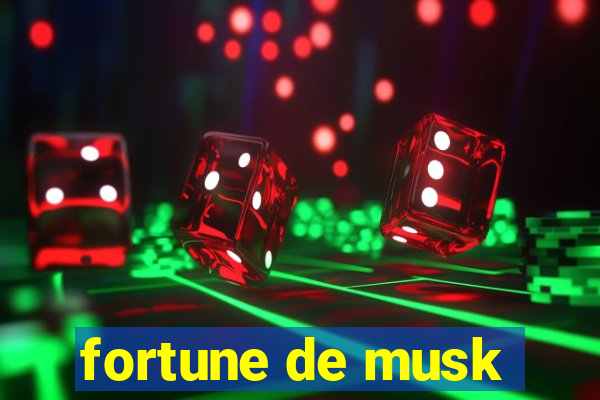 fortune de musk