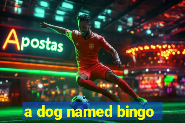 a dog named bingo