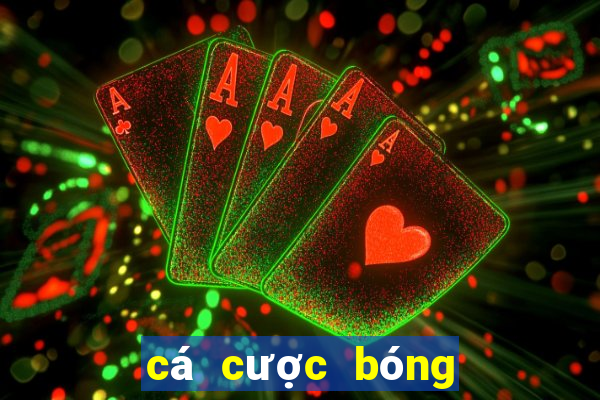 cá cược bóng đá online