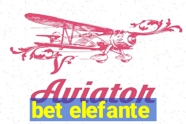 bet elefante