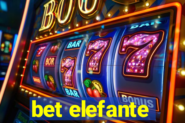 bet elefante