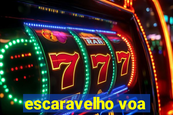 escaravelho voa