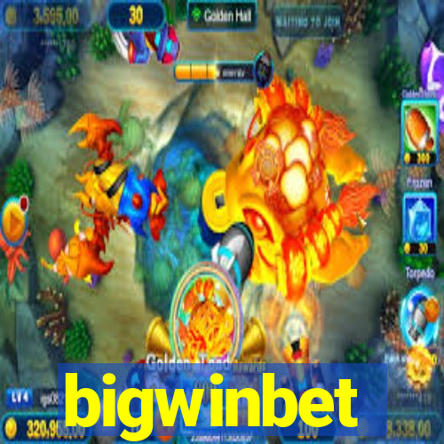 bigwinbet