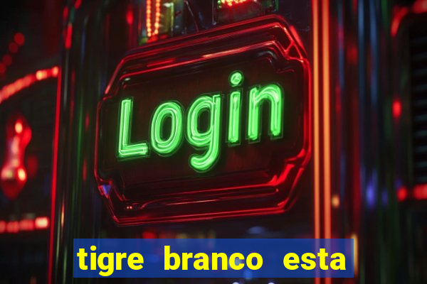 tigre branco esta em extinção