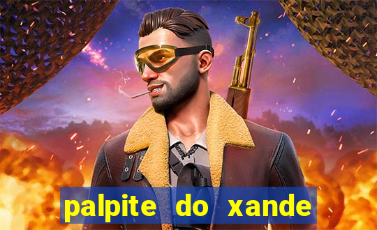 palpite do xande para hoje