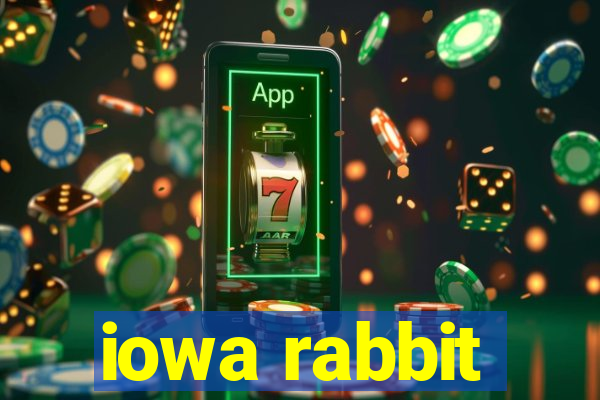 iowa rabbit