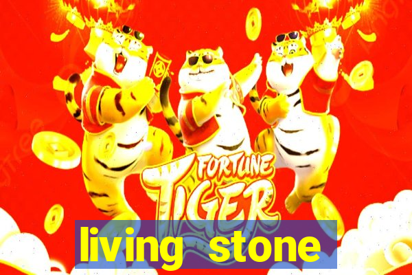 living stone network tv