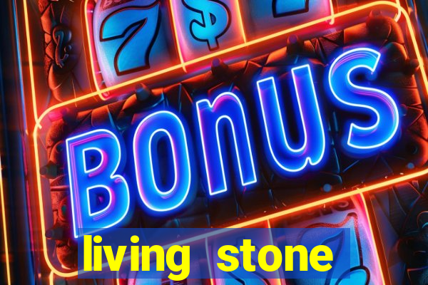 living stone network tv