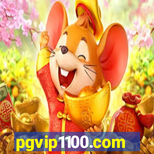 pgvip1100.com