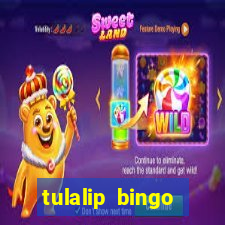 tulalip bingo casino review