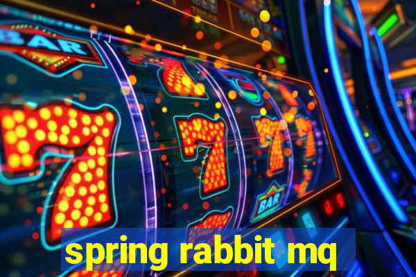 spring rabbit mq