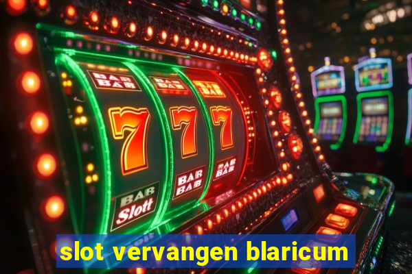 slot vervangen blaricum