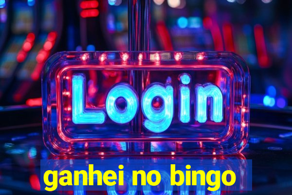 ganhei no bingo