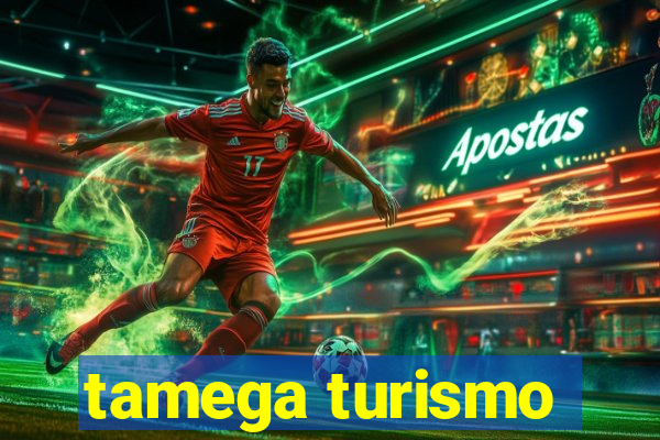 tamega turismo