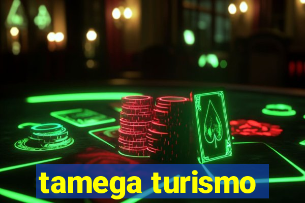 tamega turismo